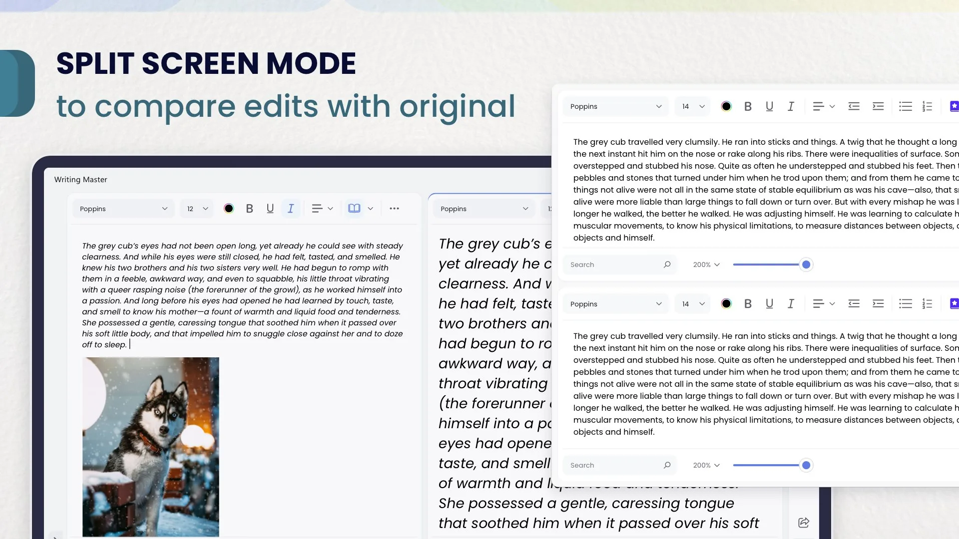 Writing Master - Essay and Novel Writer screenshot 3