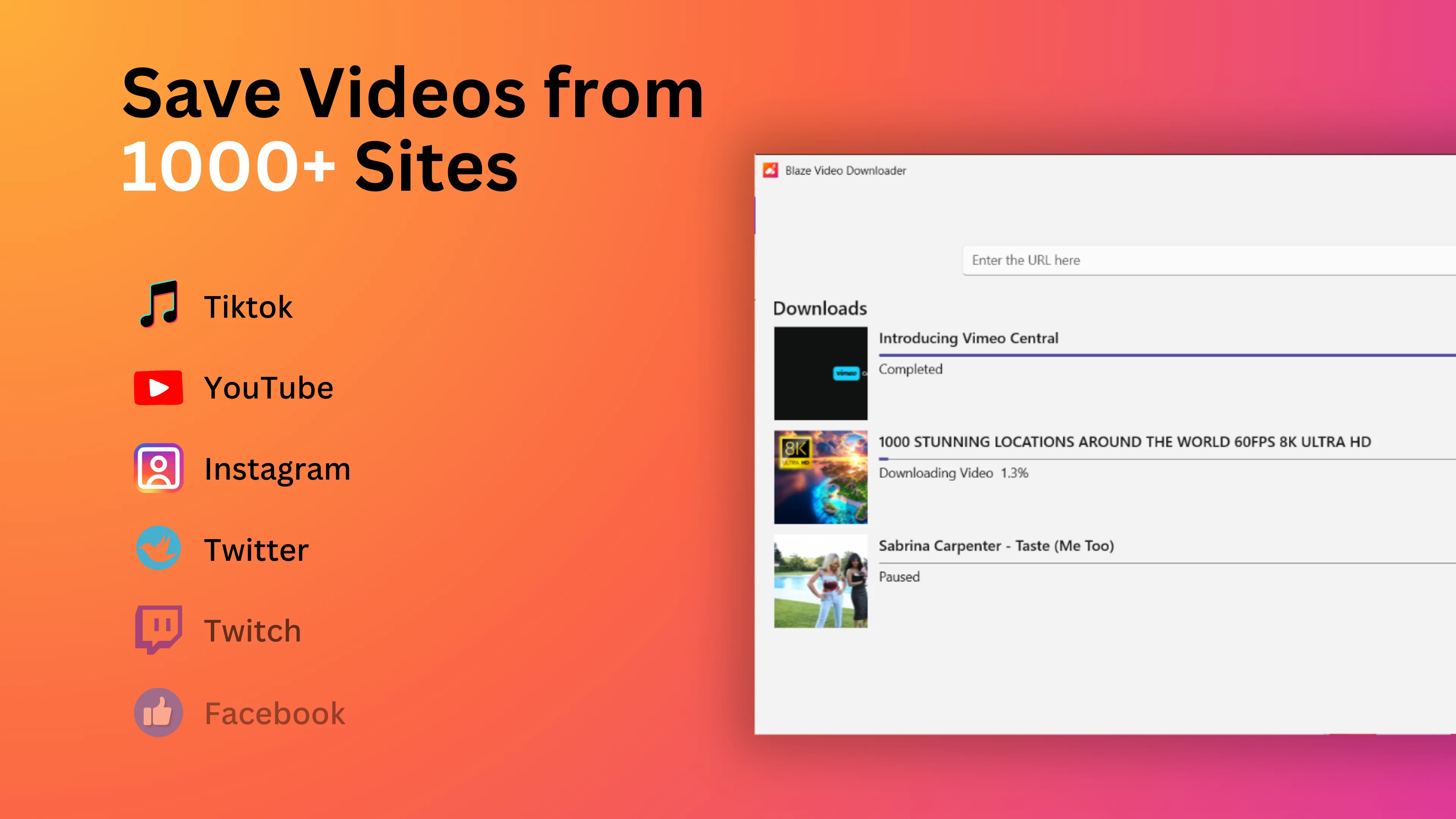 Blaze Video Downloader screenshot 1