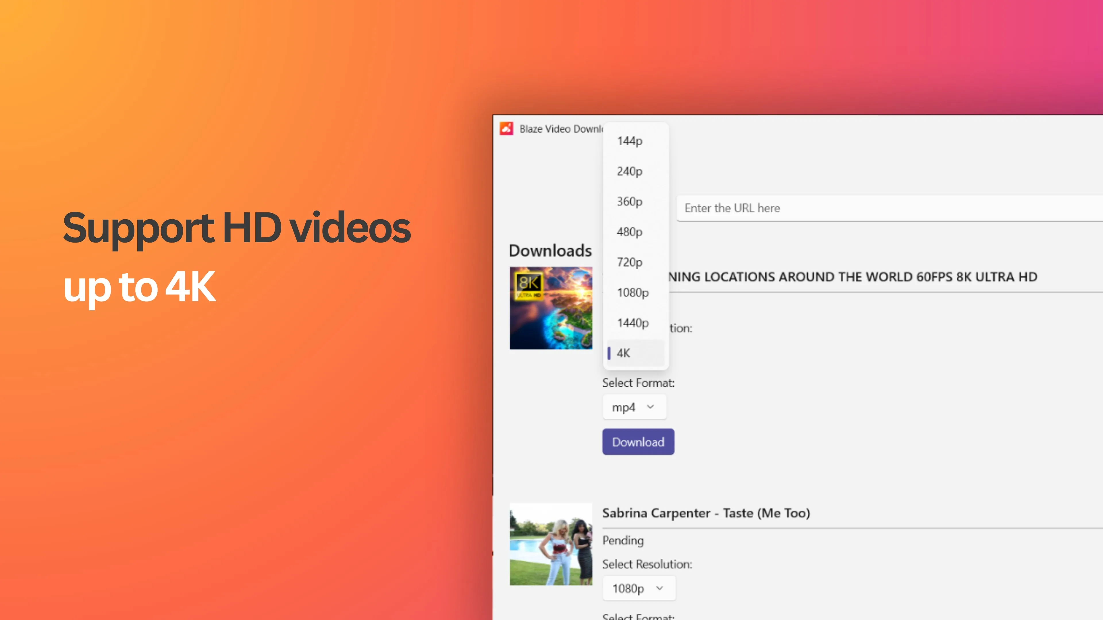 Blaze Video Downloader screenshot 2
