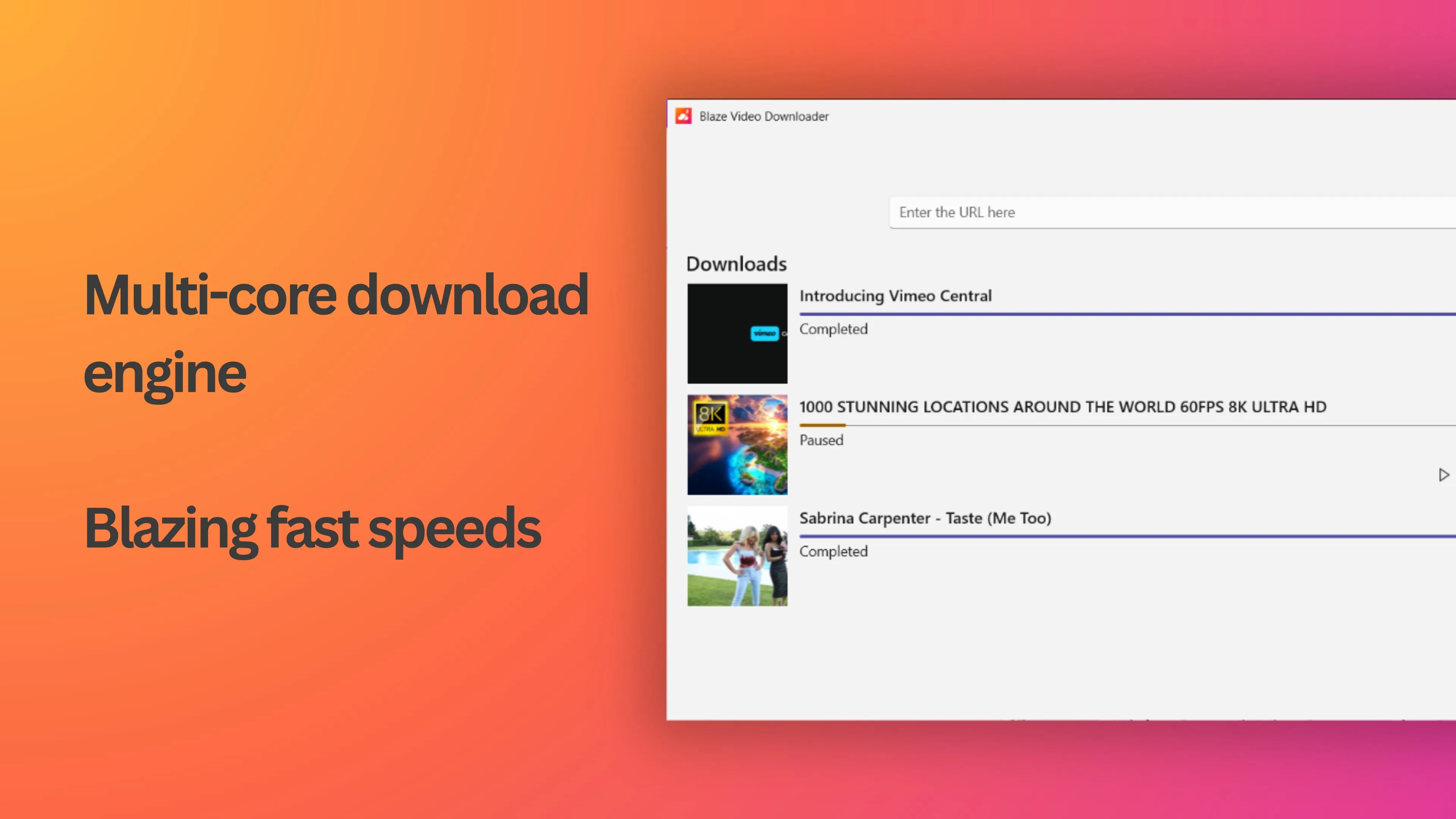 Blaze Video Downloader screenshot 3