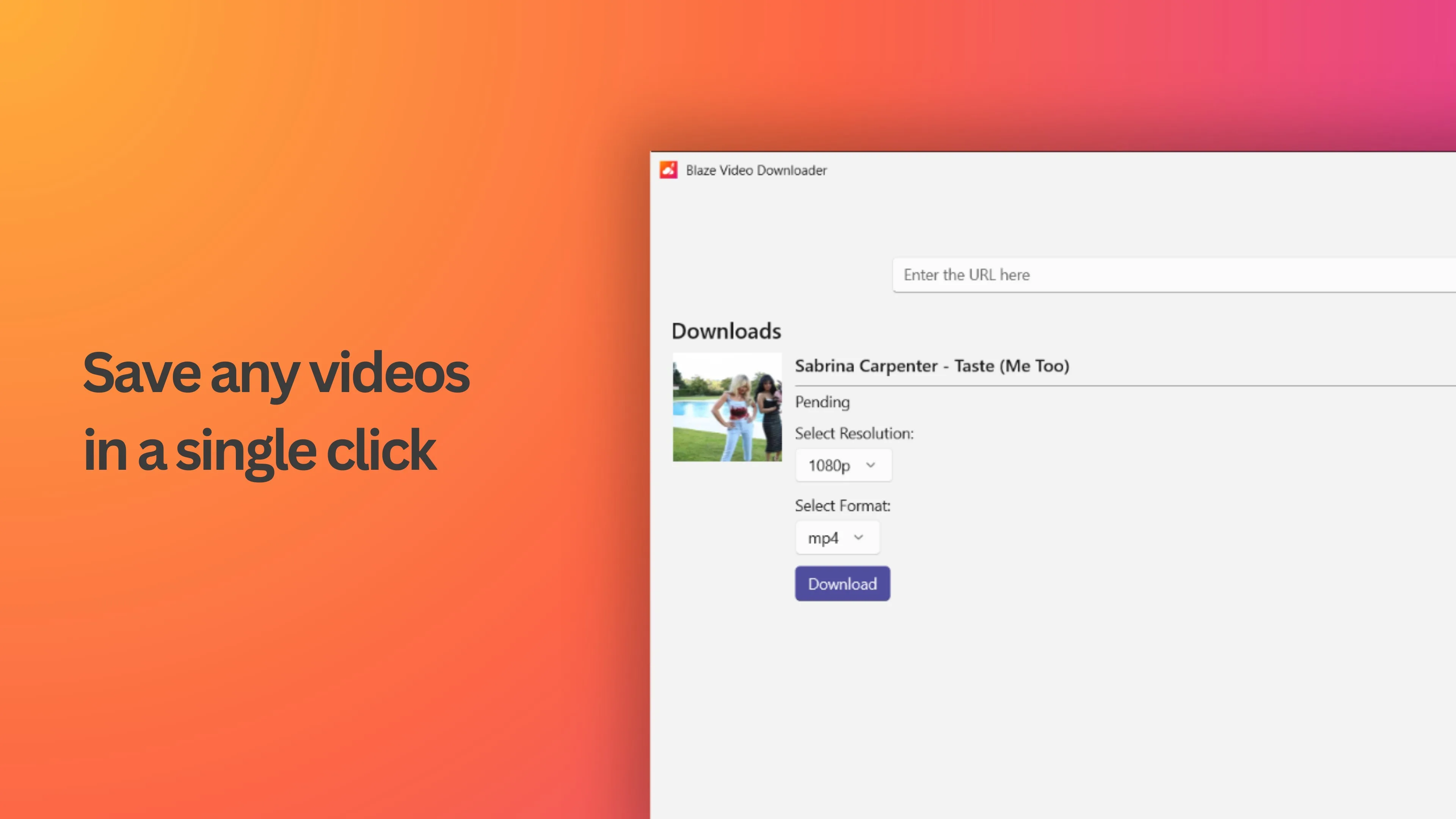 Blaze Video Downloader screenshot 4