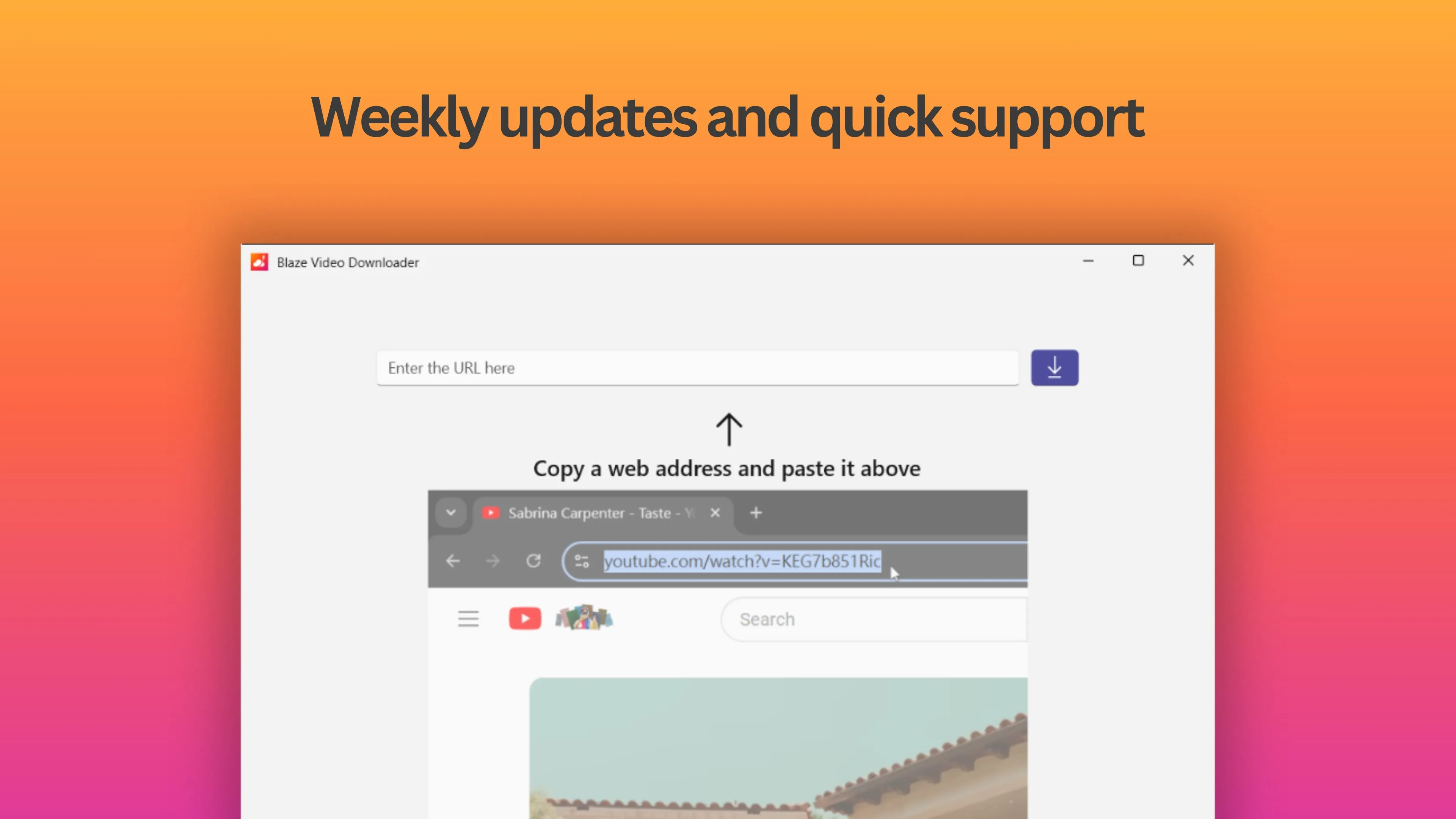 Blaze Video Downloader screenshot 5