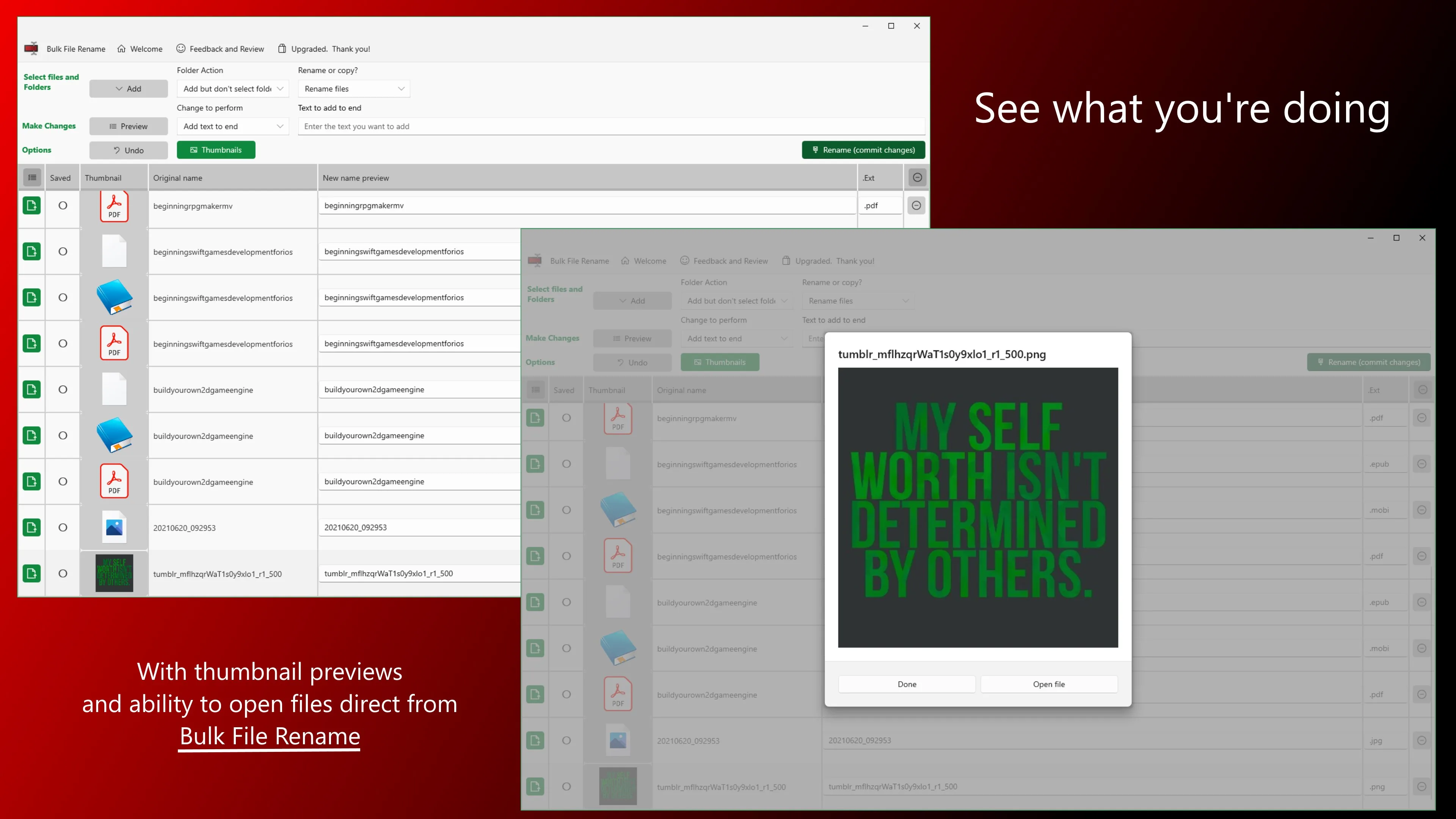 Bulk File Rename screenshot 2