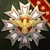 Glory of Generals 3