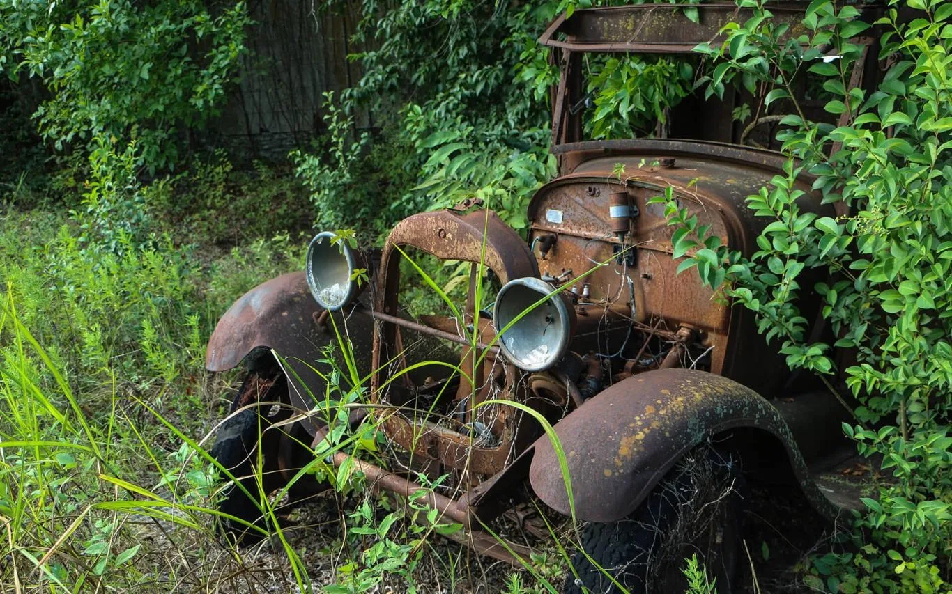 Reclaimed by Nature screenshot 2