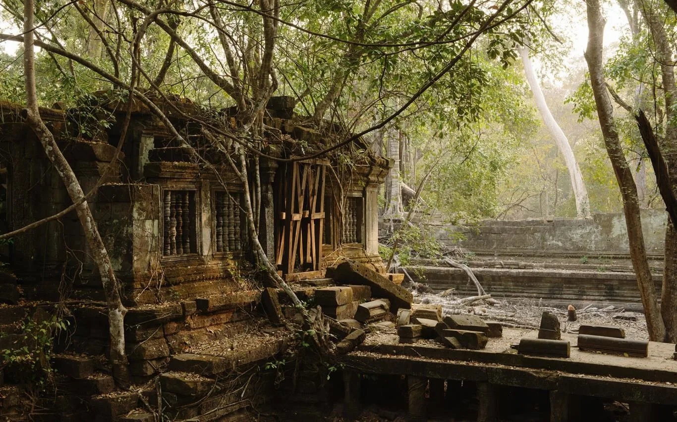 Reclaimed by Nature screenshot 4