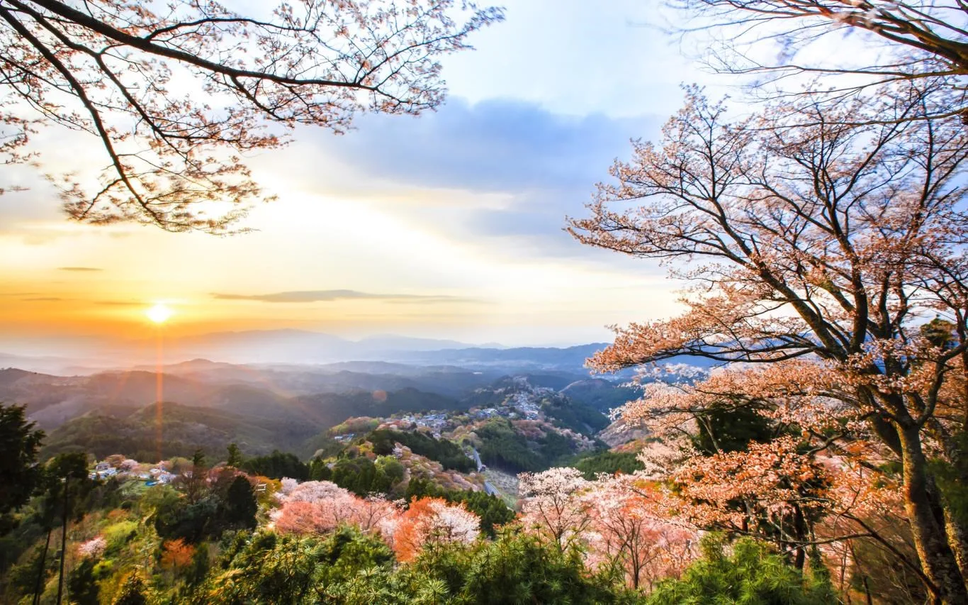 Japanese Landscapes screenshot 2