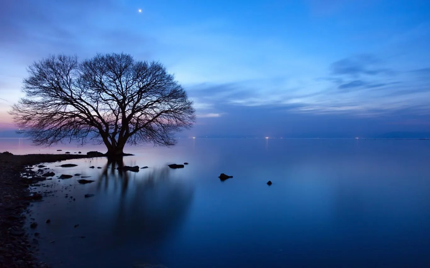 Japanese Landscapes screenshot 4