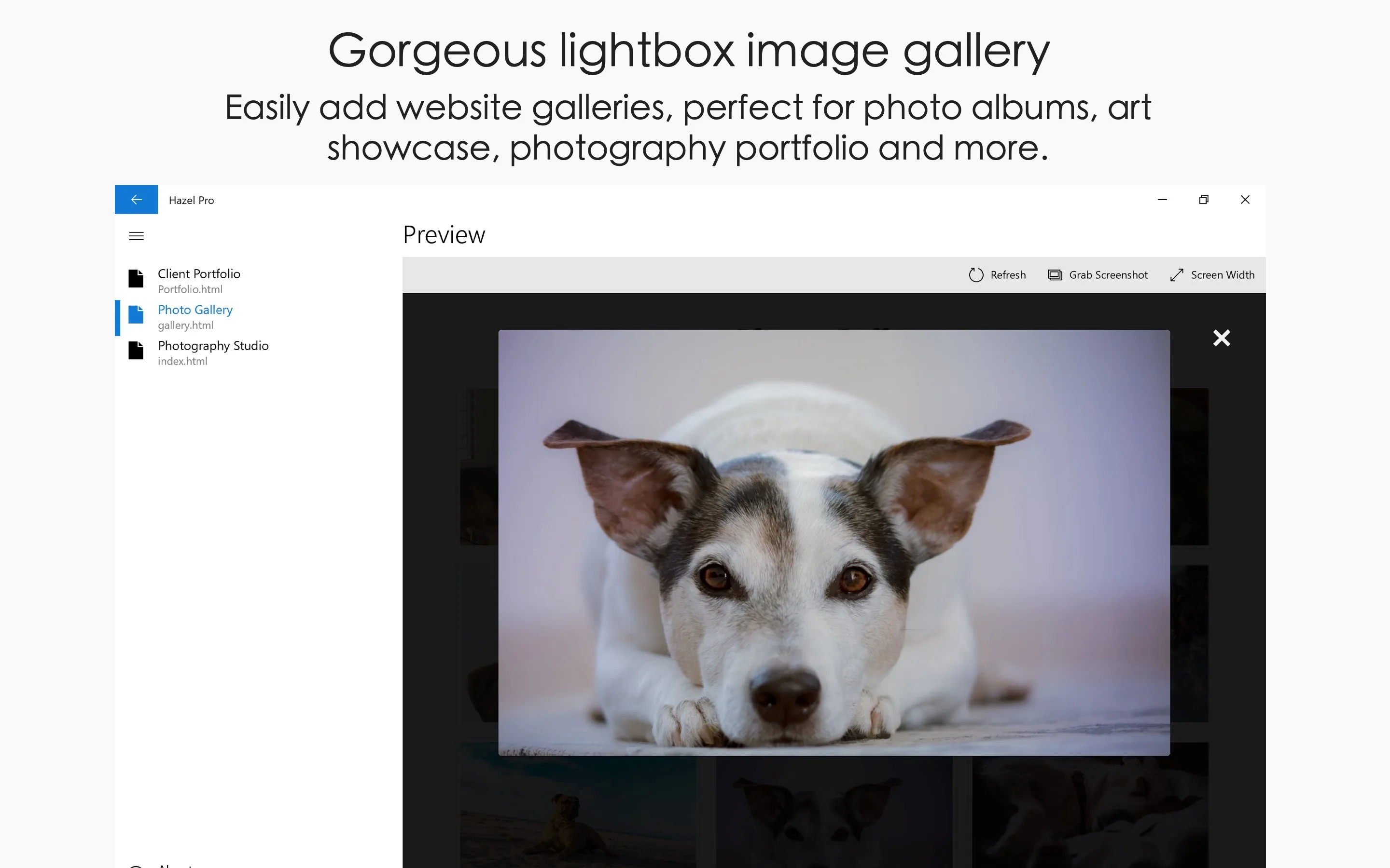 Visual Web Designer - Hazel Pro screenshot 2