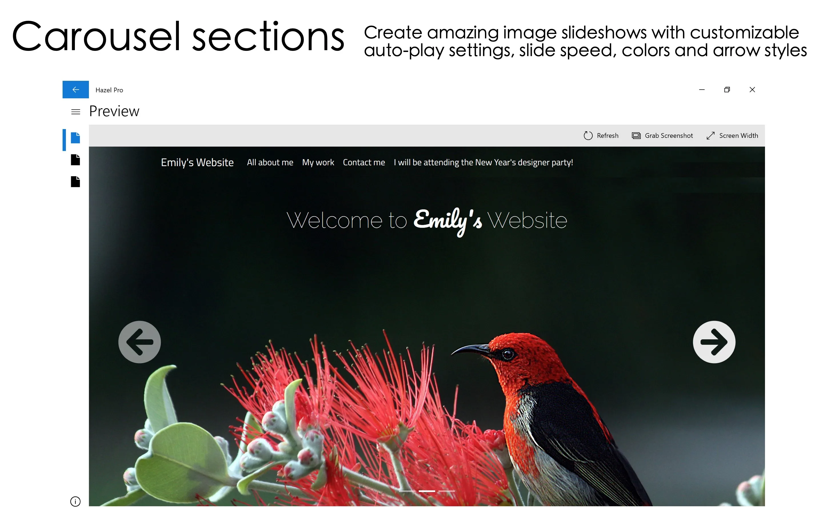 Visual Web Designer - Hazel Pro screenshot 4