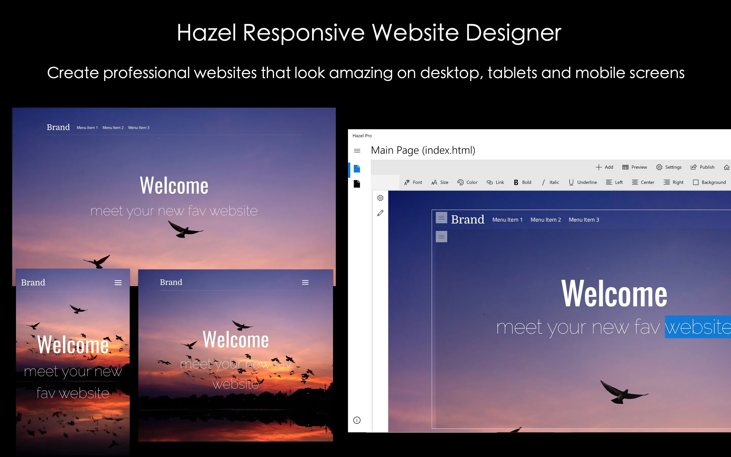 Visual Web Designer - Hazel Pro screenshot 5