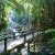 Wooden Walkways