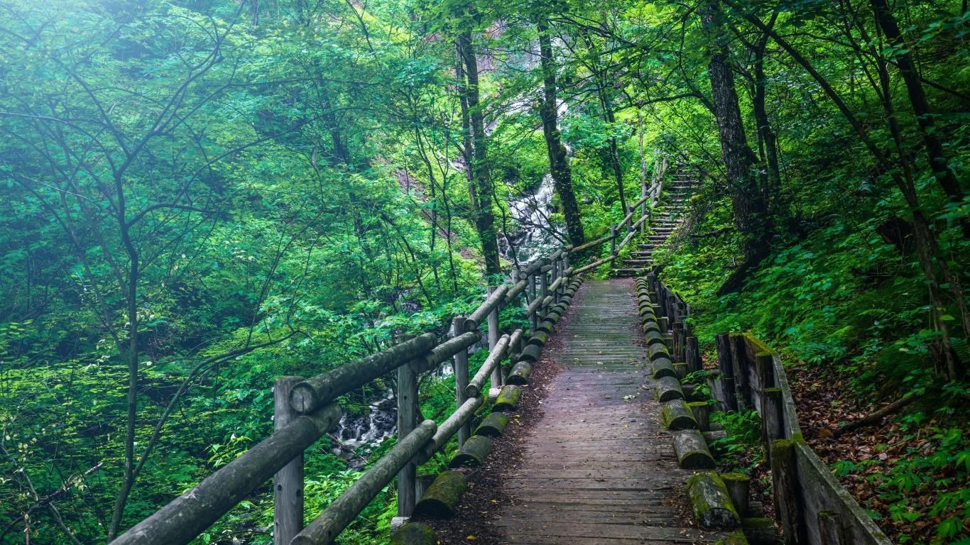 Wooden Walkways screenshot 4
