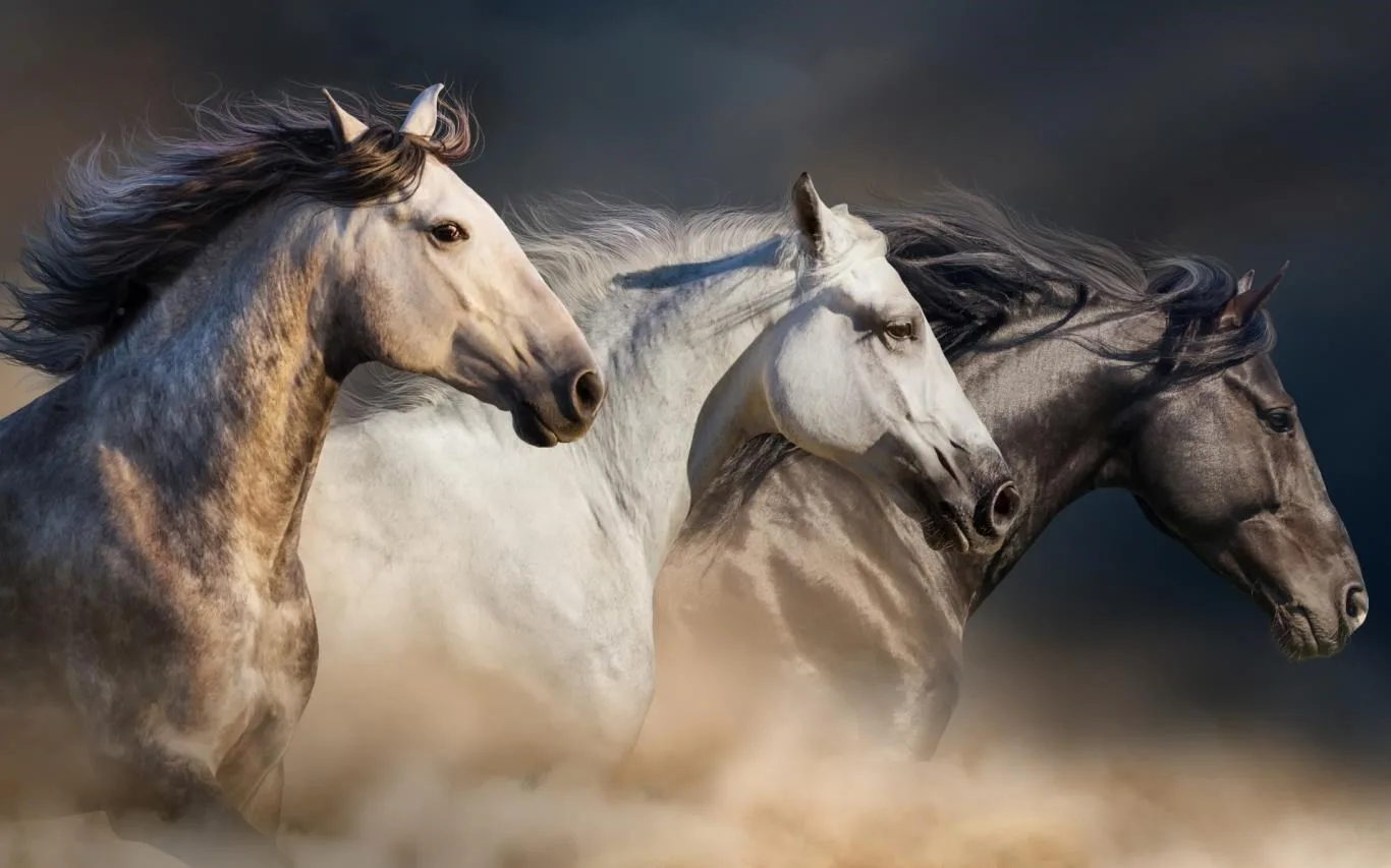Running Horses screenshot 2