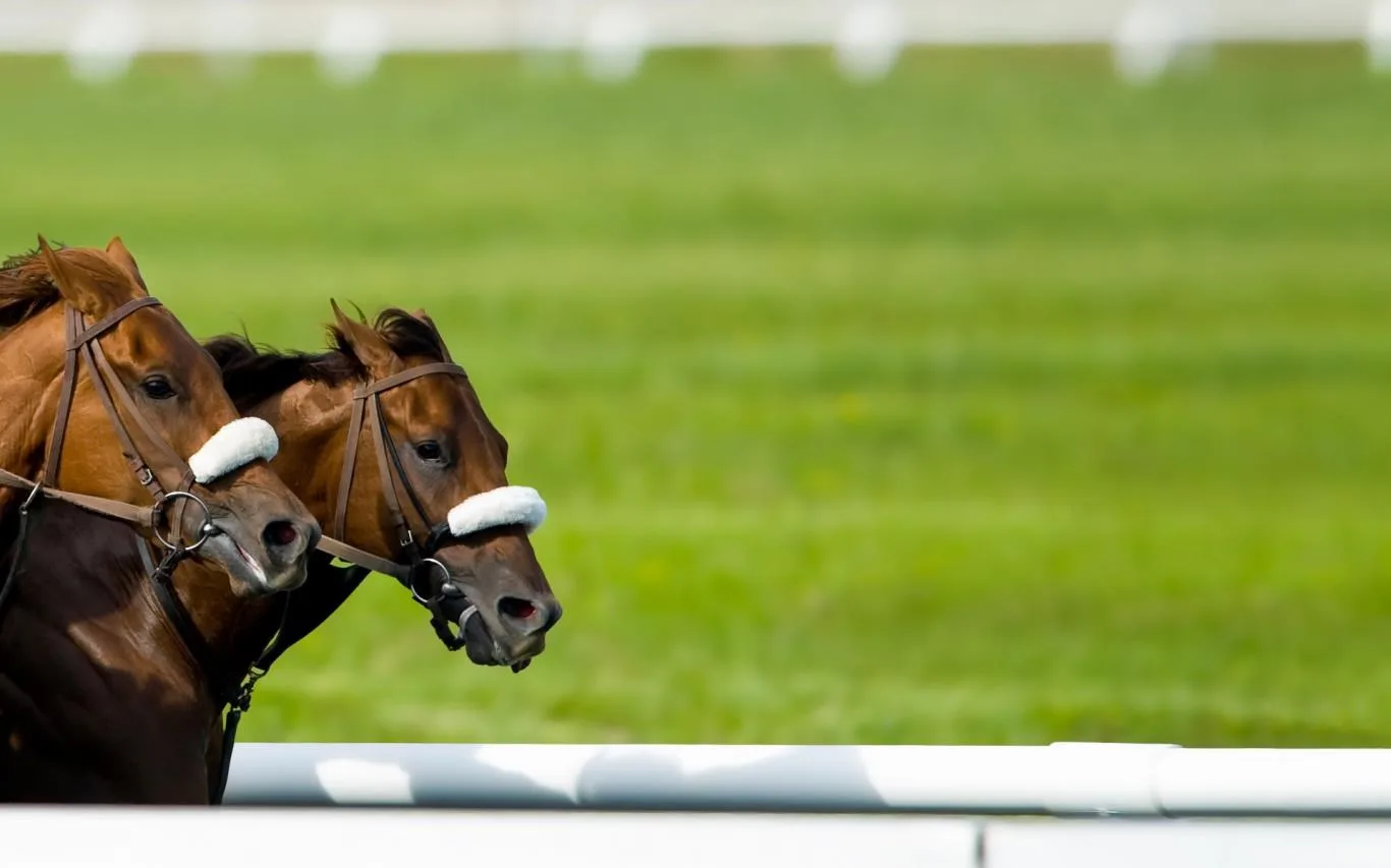 Running Horses screenshot 3