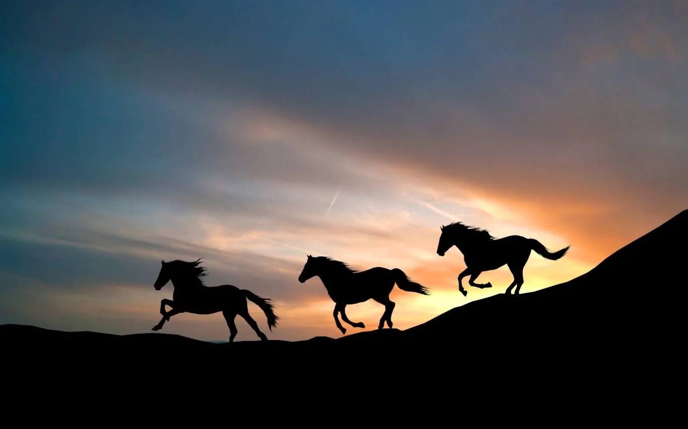 Running Horses screenshot 4