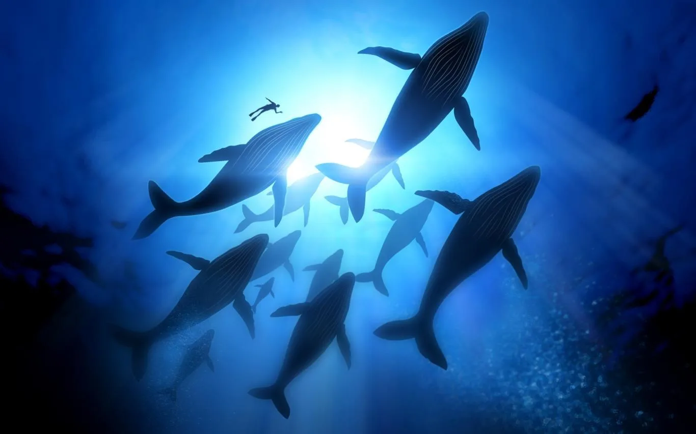 Migration screenshot 2