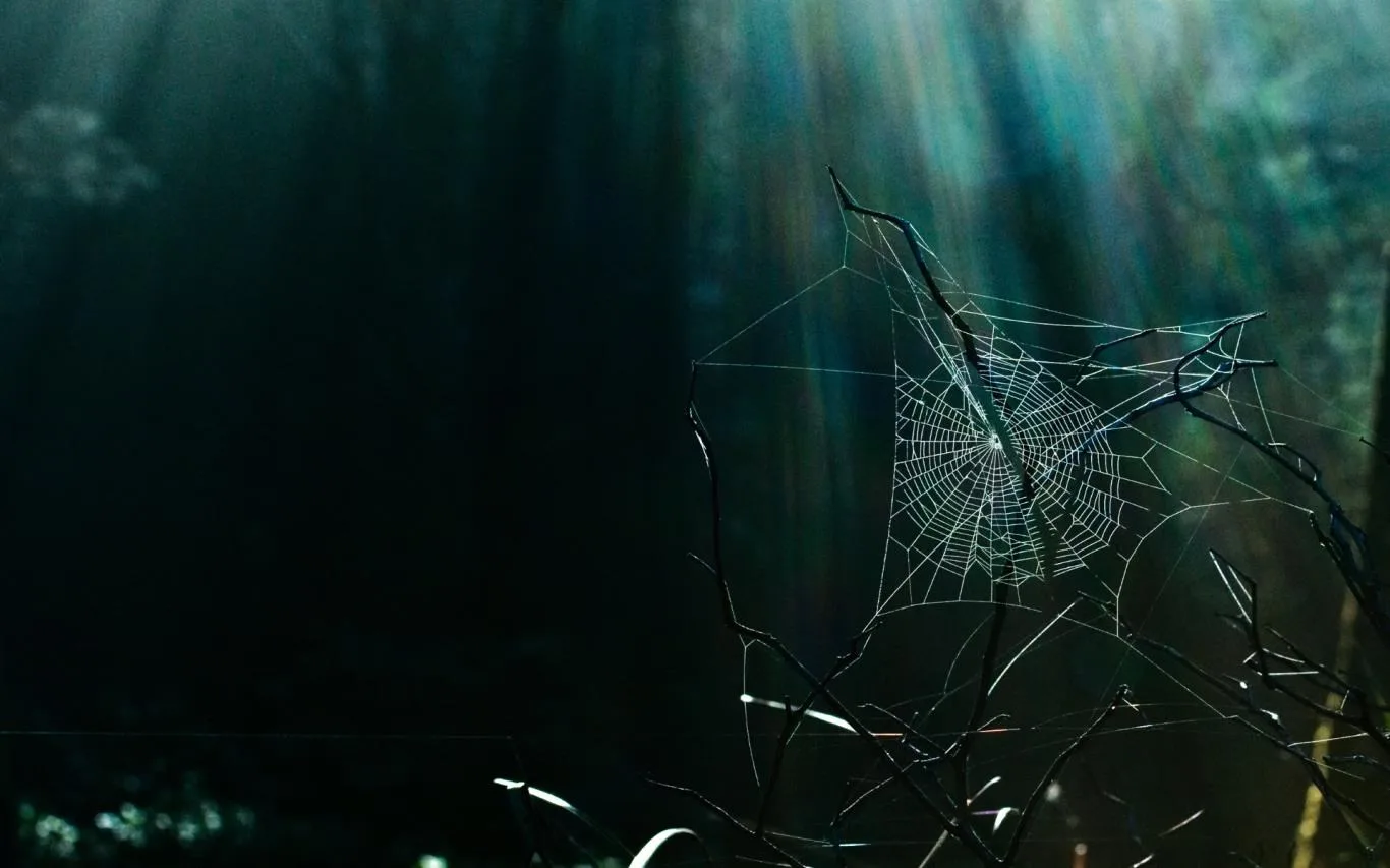 Cobwebs screenshot 1