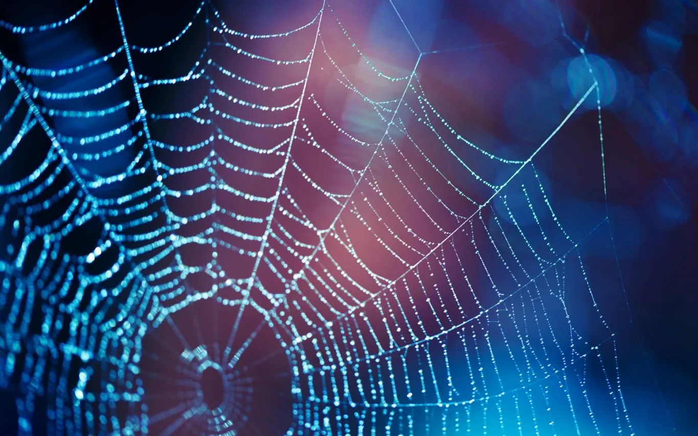 Cobwebs screenshot 3