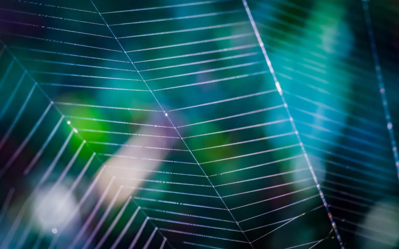 Cobwebs screenshot 4