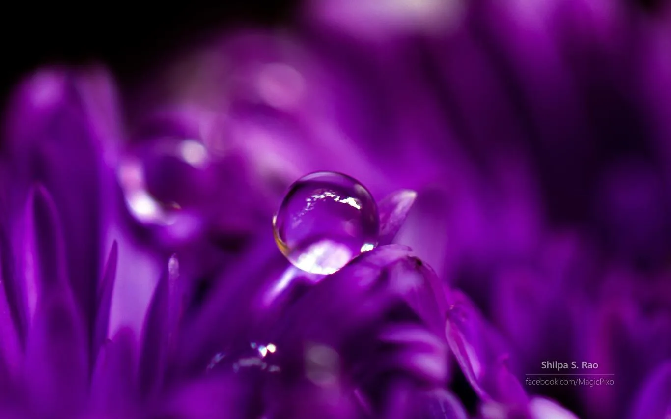 Liquid Jewels by Shilpa S Rao screenshot 1