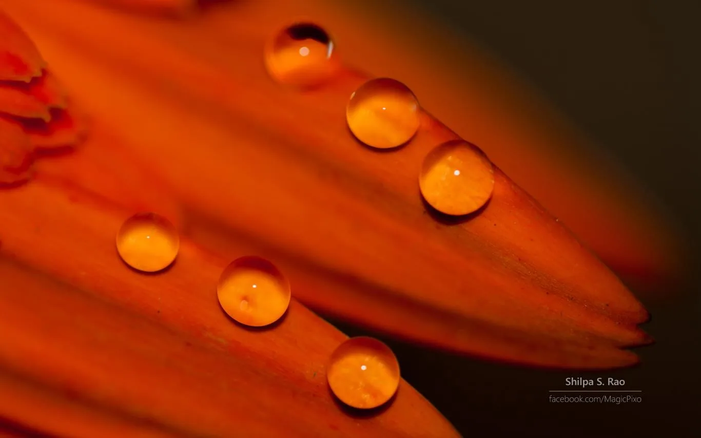 Liquid Jewels by Shilpa S Rao screenshot 2