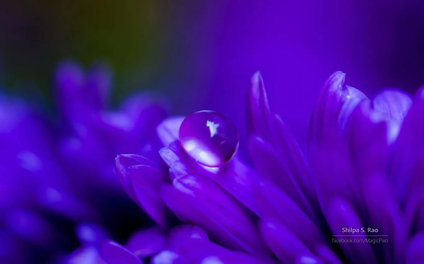 Liquid Jewels by Shilpa S Rao screenshot 3