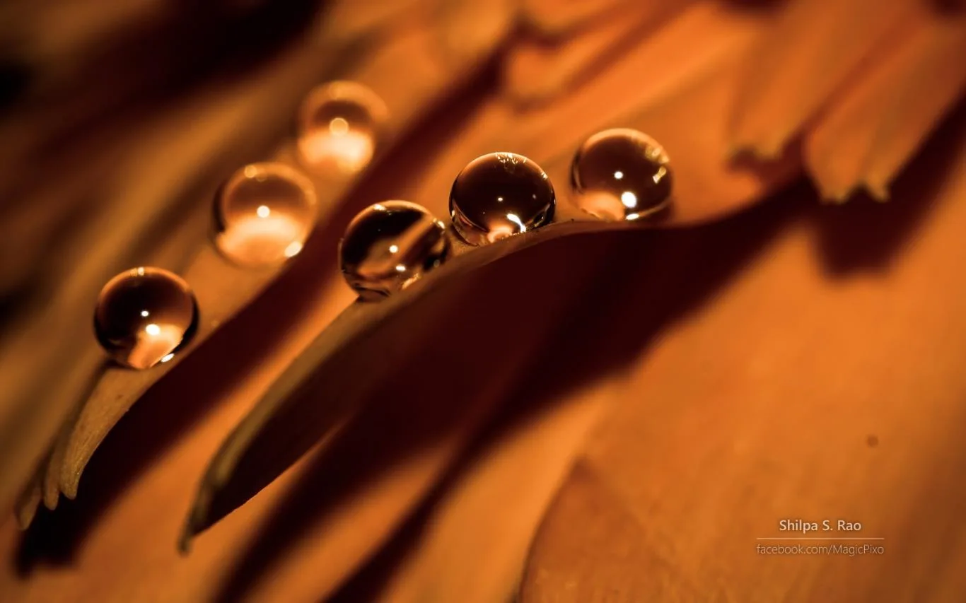Liquid Jewels by Shilpa S Rao screenshot 4