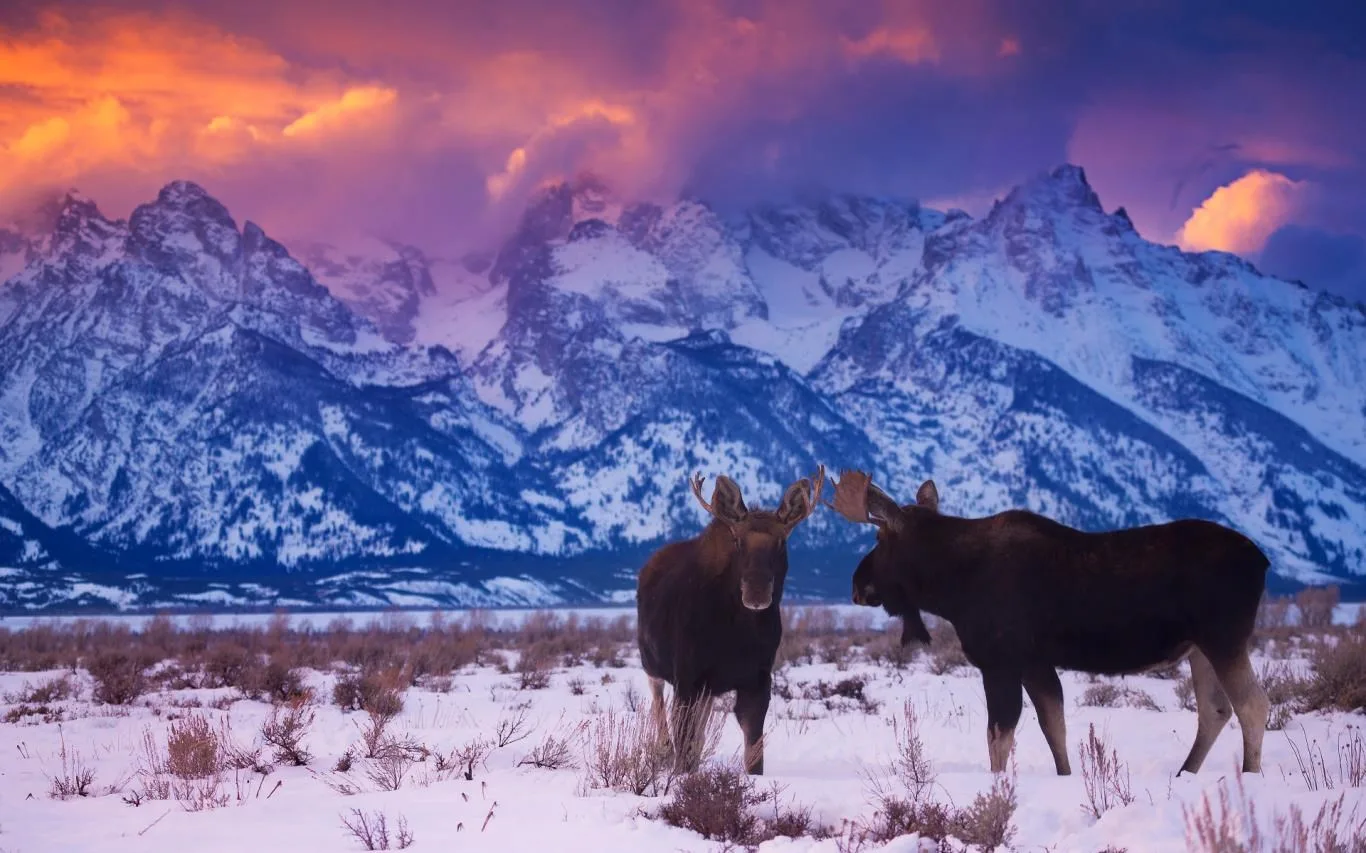 US National Parks screenshot 3