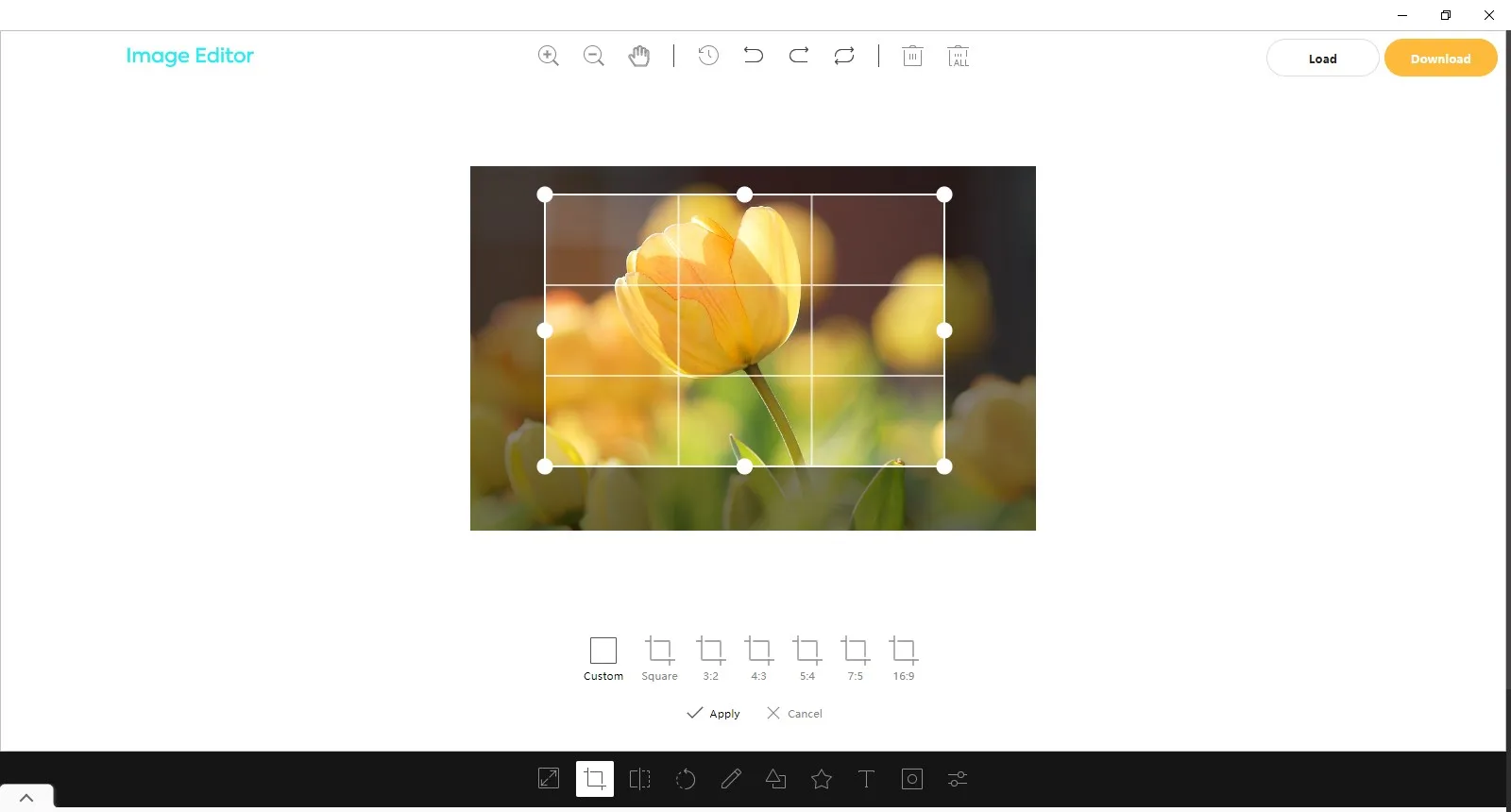 Image Editor screenshot 1