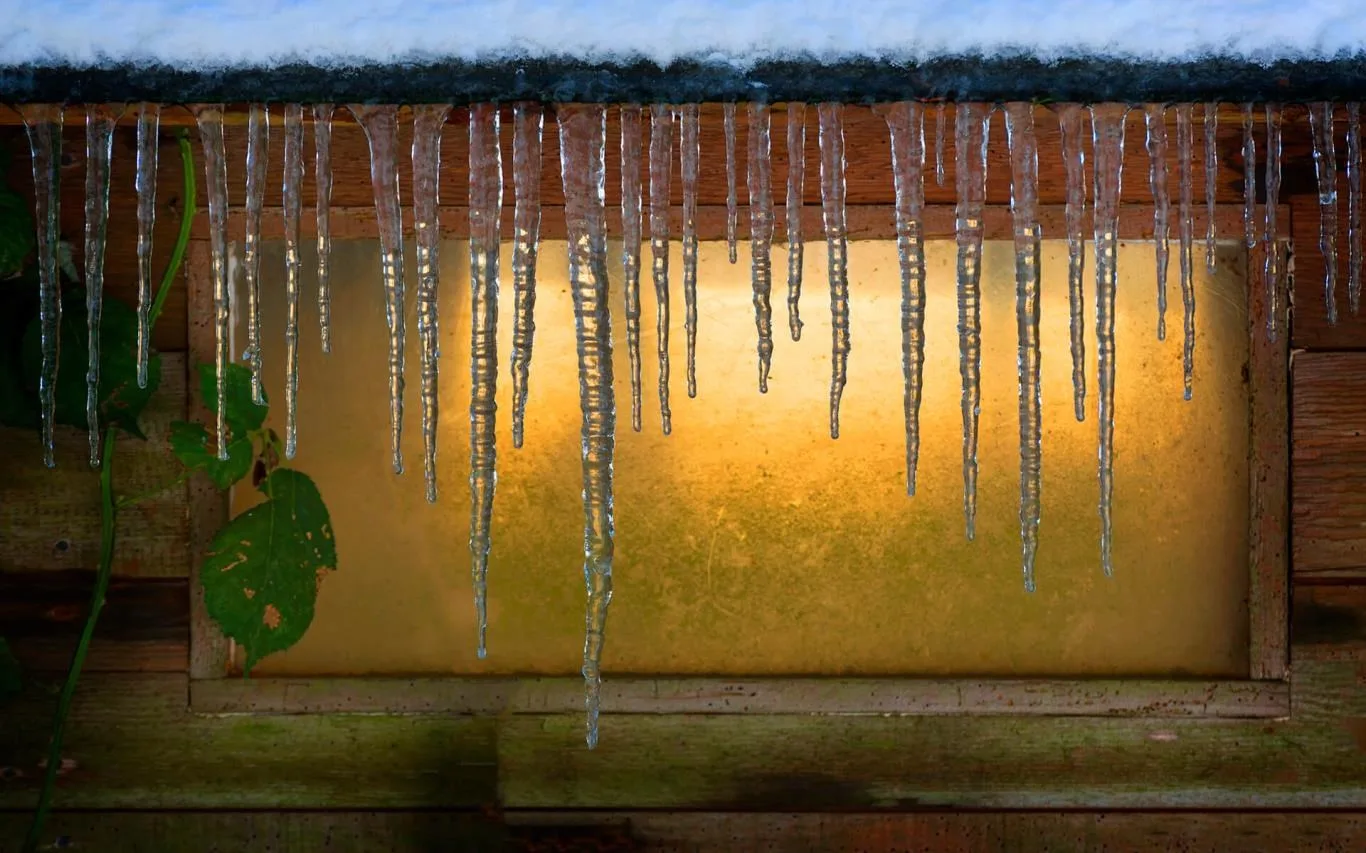 Chilly Morning screenshot 1