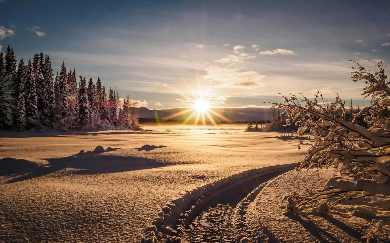 Chilly Morning screenshot 2