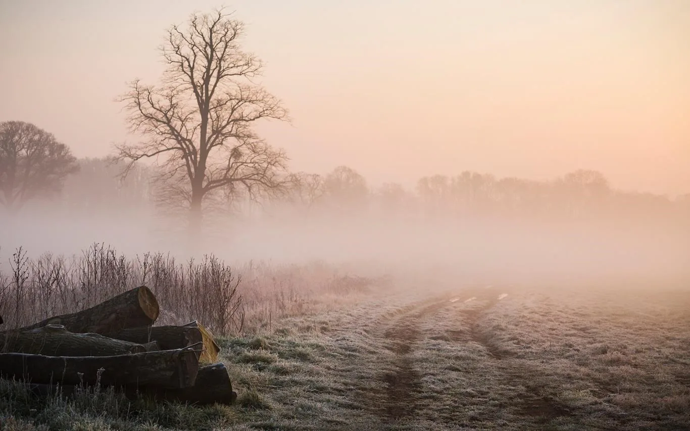 Chilly Morning screenshot 4