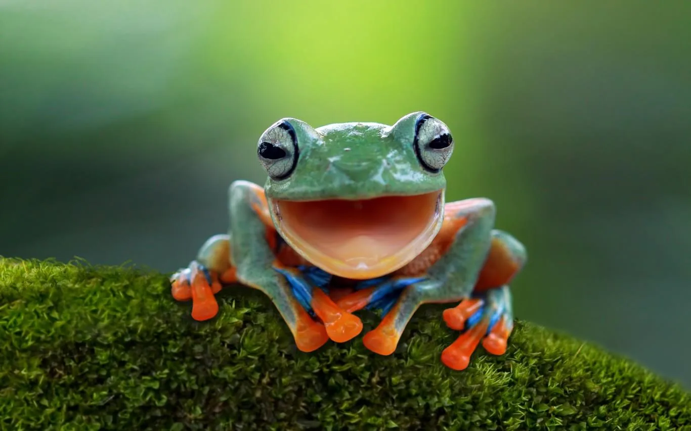 Smiling Creatures screenshot 3