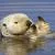 Otters
