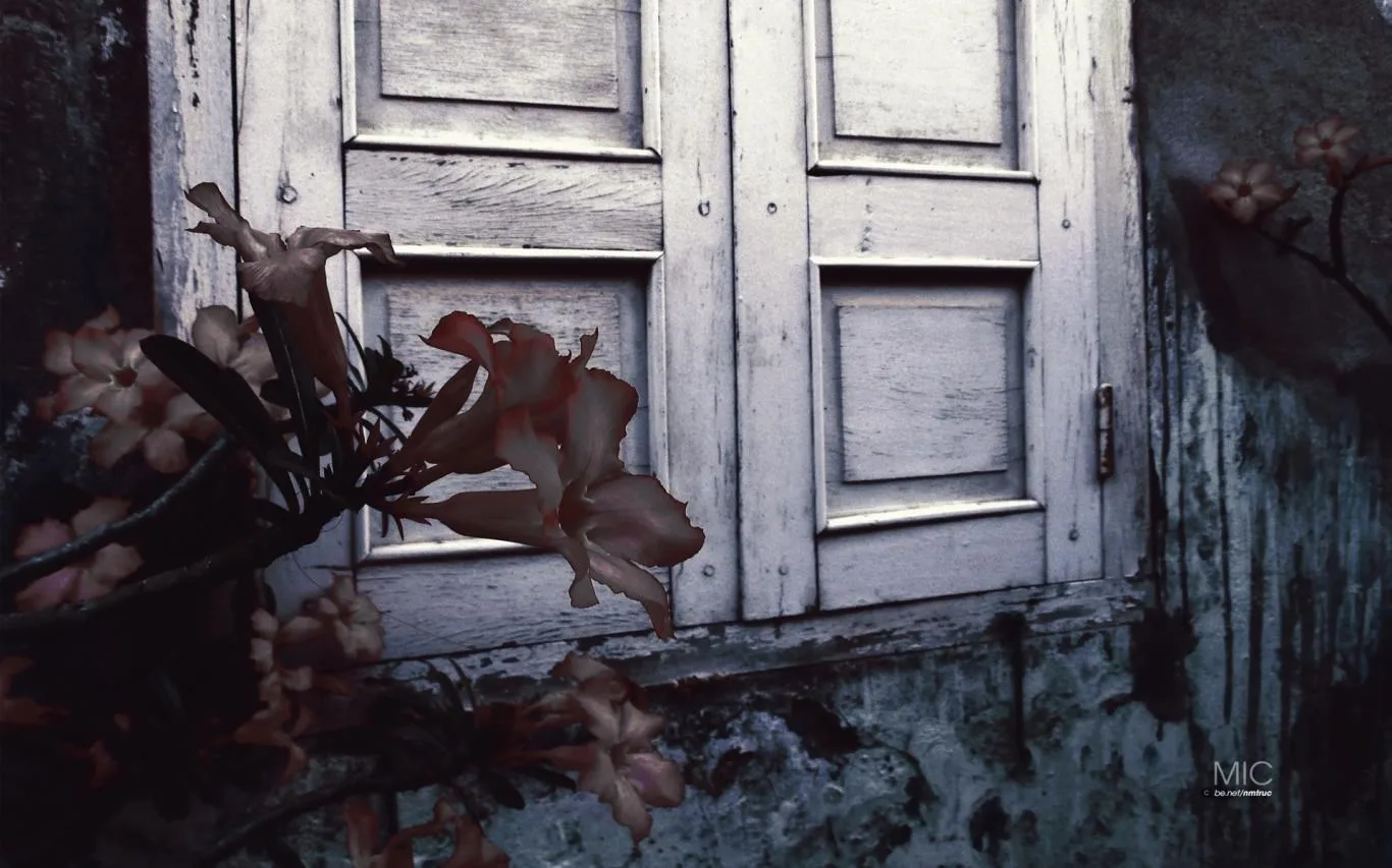 Escape by Huỳnh Như and Nguyễn Minh Trực screenshot 2