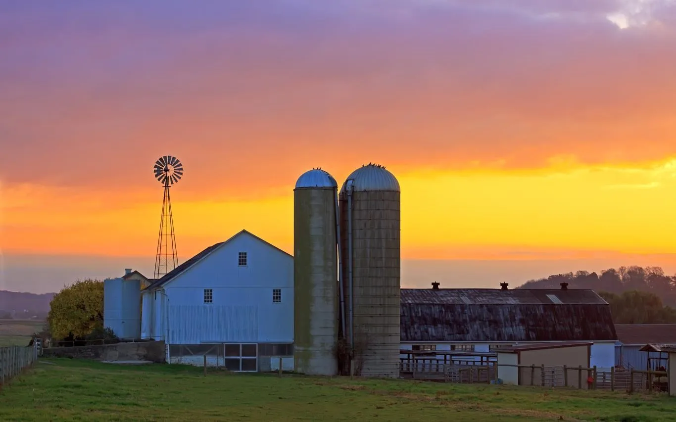 Day on the Farm screenshot 2