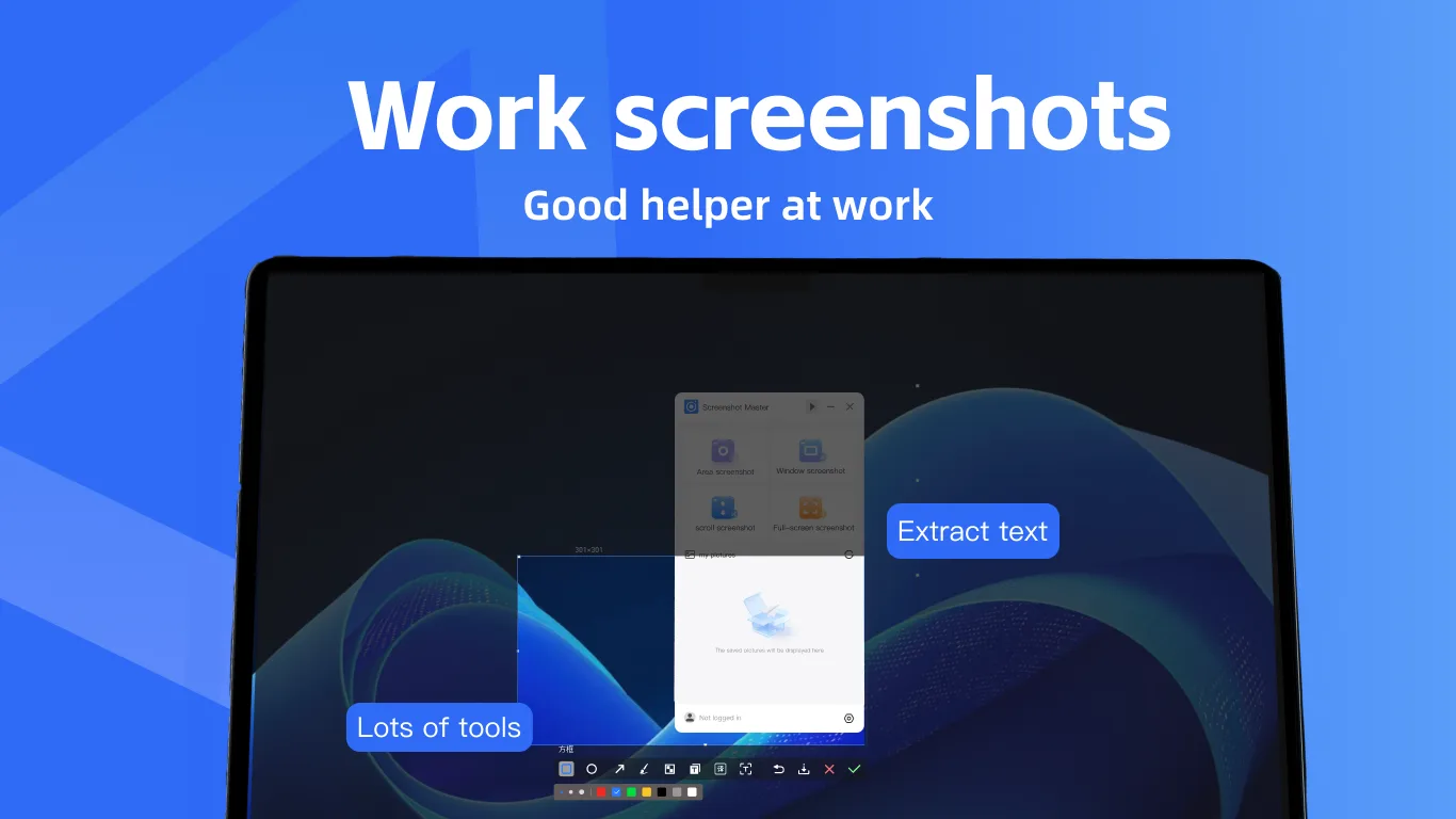 Screenshot: Screen Capture screenshot 2