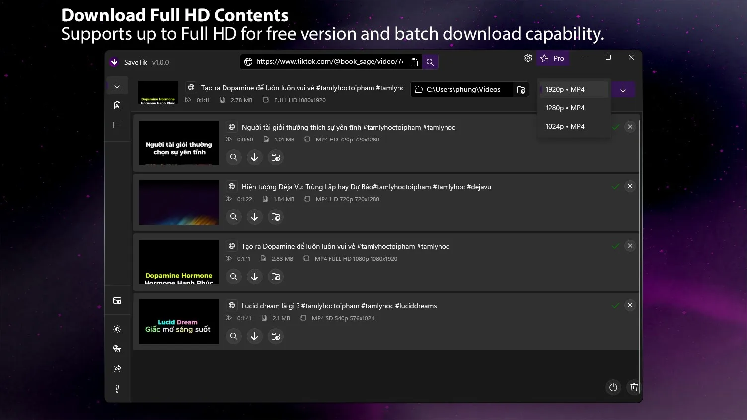 SaveTik - Video Downloader screenshot 1