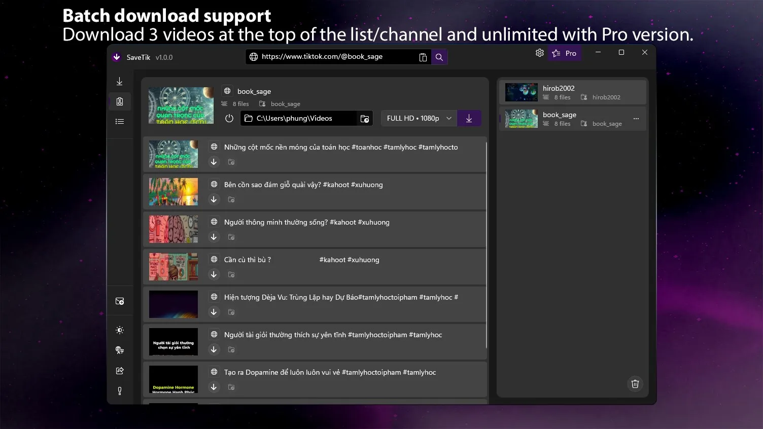 SaveTik - Video Downloader screenshot 2