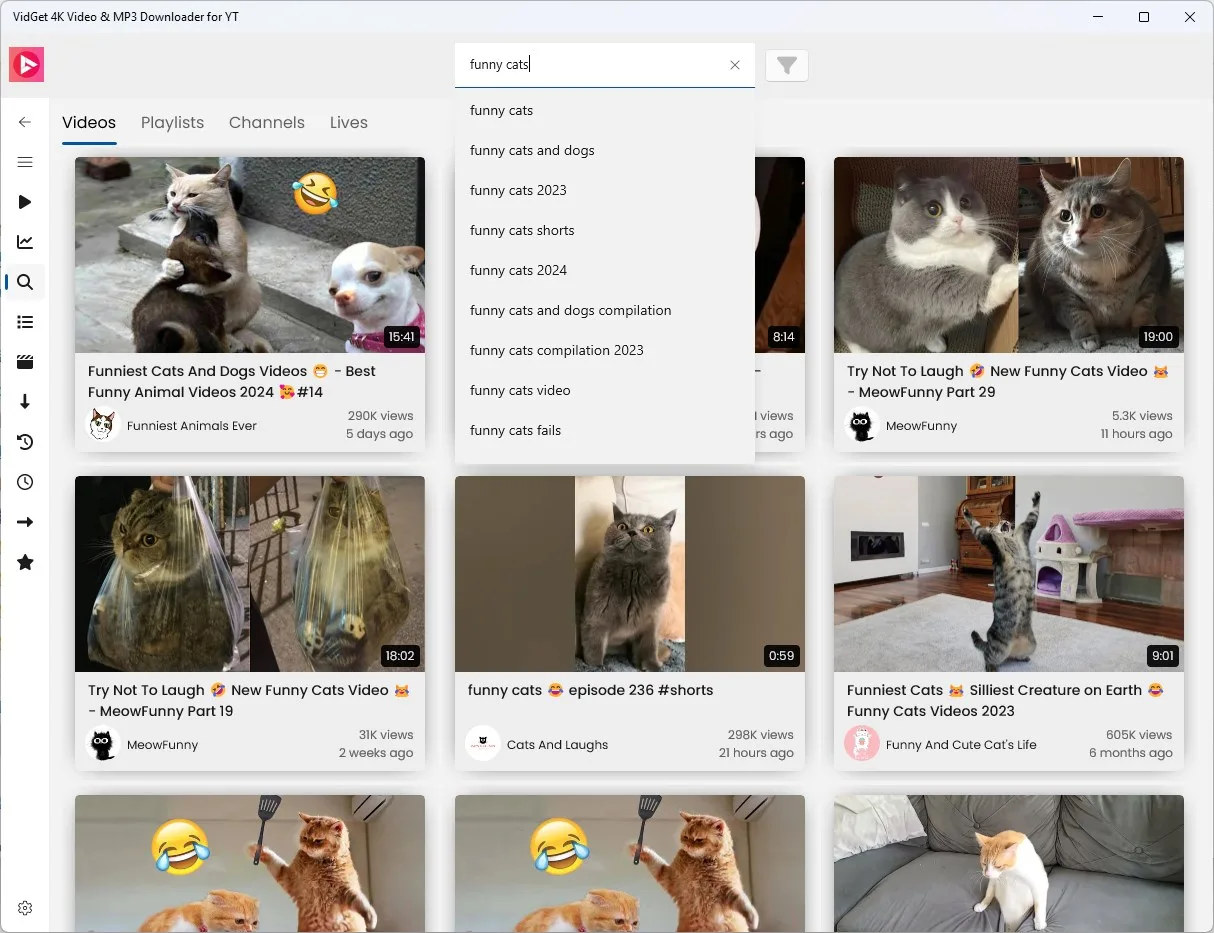 VidGet 4K Video & MP3 Downloader for YT screenshot 2