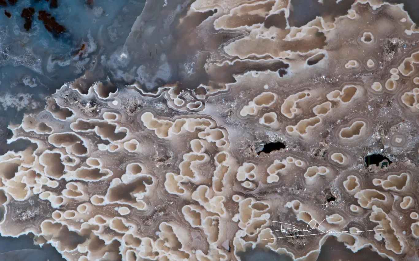 Macro World of Rocks by David Sommers screenshot 4