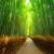 Rambling Pathways