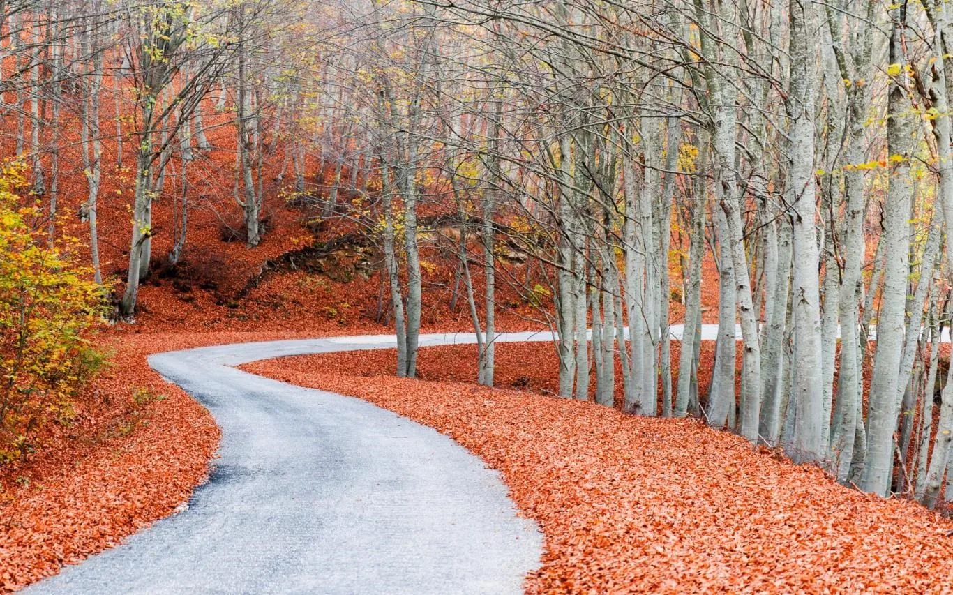Rambling Pathways screenshot 2