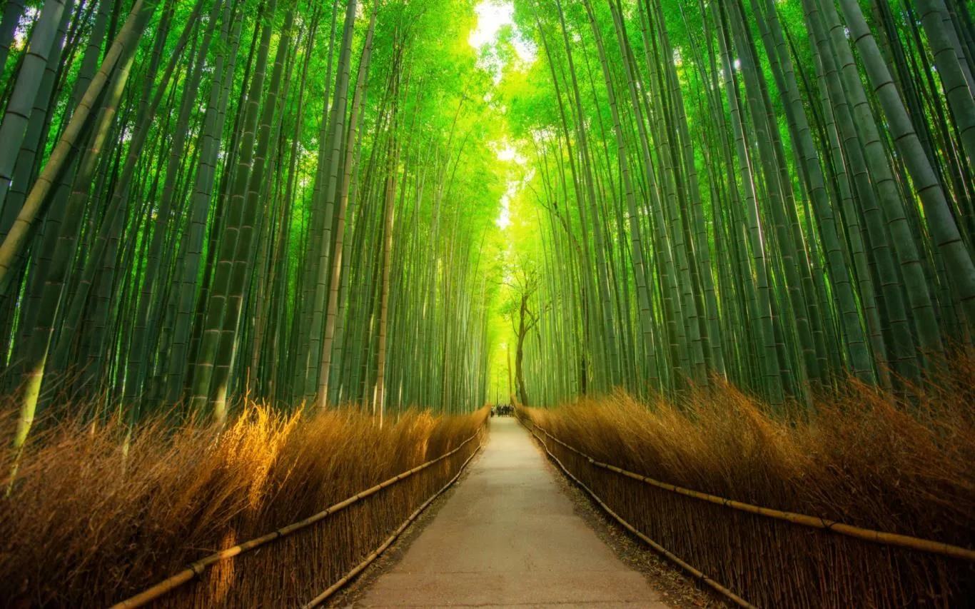 Rambling Pathways screenshot 4