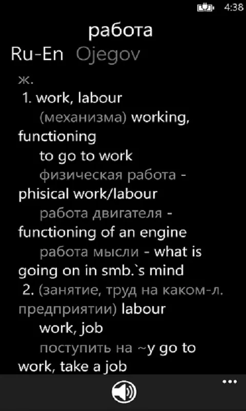 Slovo Dictionary screenshot 4