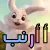 أ أرنب ( أ ب ت - بطاقات تعليمية للحروف الأبجدية)