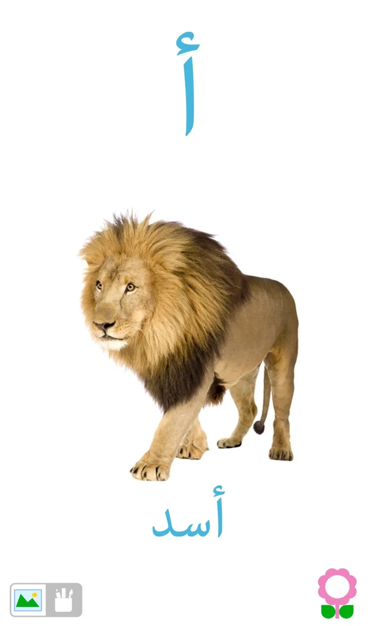 أ أرنب ( أ ب ت - بطاقات تعليمية للحروف الأبجدية) screenshot 2
