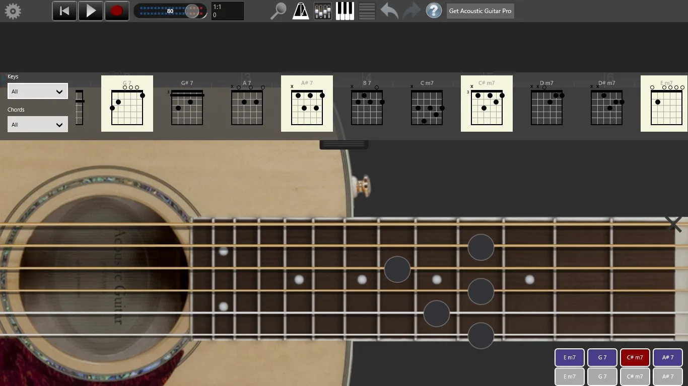 Acoustic Guitar Lite screenshot 3