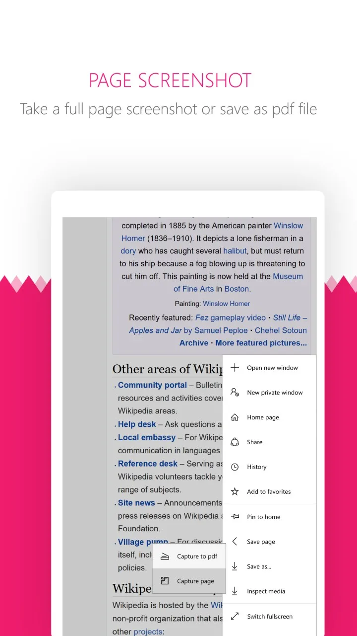 Orions Browser screenshot 4